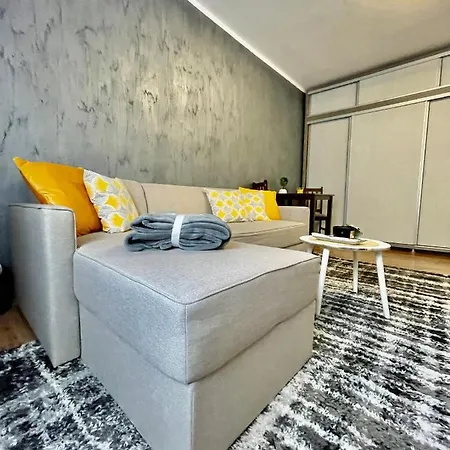 S&s Studio At Ground Floor Town !!! Parcare La Locatie !! Apartment