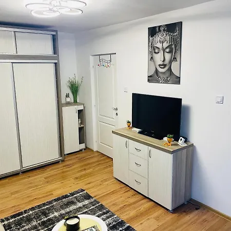 S&s Studio At Ground Floor Town !!! Parcare La Locatie !!