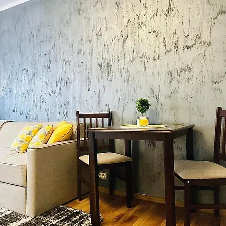 S&s Studio At Ground Floor Town !!! Parcare La Locatie !! Apartment *