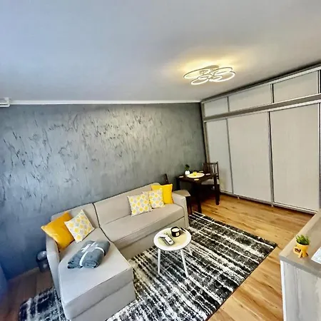 S&s Studio At Ground Floor Town !!! Parcare La Locatie !! Apartment Timisoara