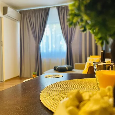 Apartment S&s Studio At Ground Floor Town !!! Parcare La Locatie !!