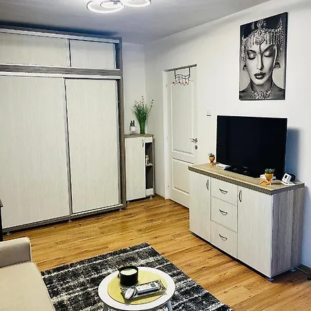Apartment S&s Studio At Ground Floor Town !!! Parcare La Locatie !!
