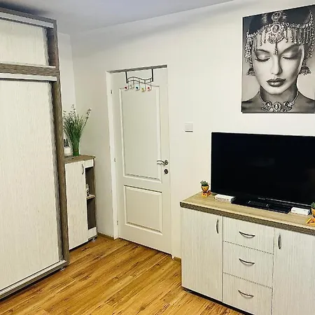 S&s Studio At Ground Floor Town !!! Parcare La Locatie !! Timişoara