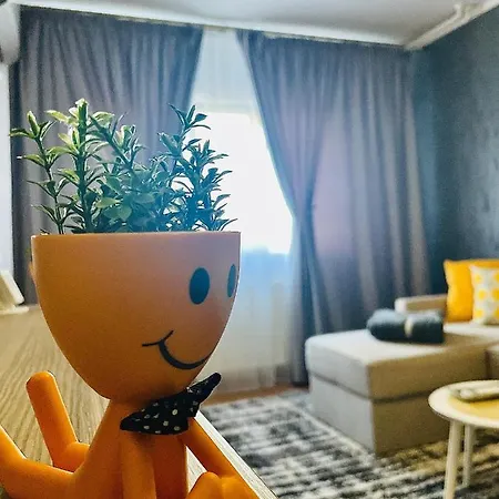 S&s Studio At Ground Floor Town !!! Parcare La Locatie !! Apartment *