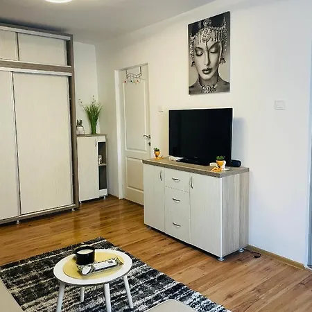 S&s Studio At Ground Floor Town !!! Parcare La Locatie !! Apartment Timisoara