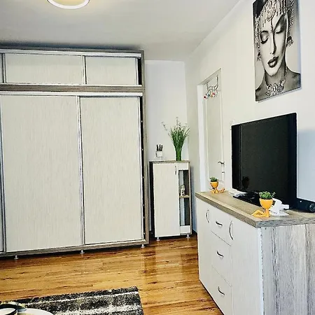 S&s Studio At Ground Floor Town !!! Parcare La Locatie !! Apartment