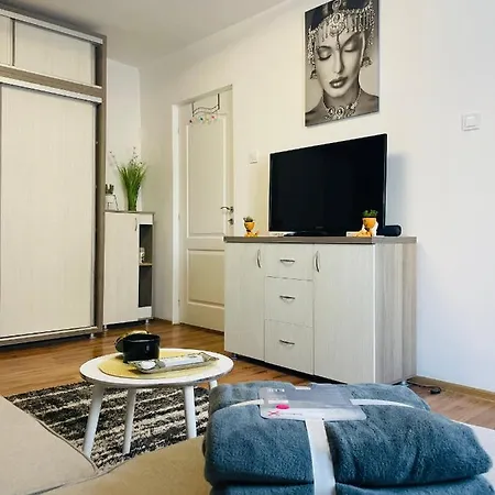 Apartment S&s Studio At Ground Floor Town !!! Parcare La Locatie !! Timisoara