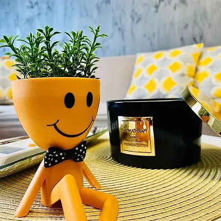 S&s Studio At Ground Floor Town !!! Parcare La Locatie !! Appartement Timişoara